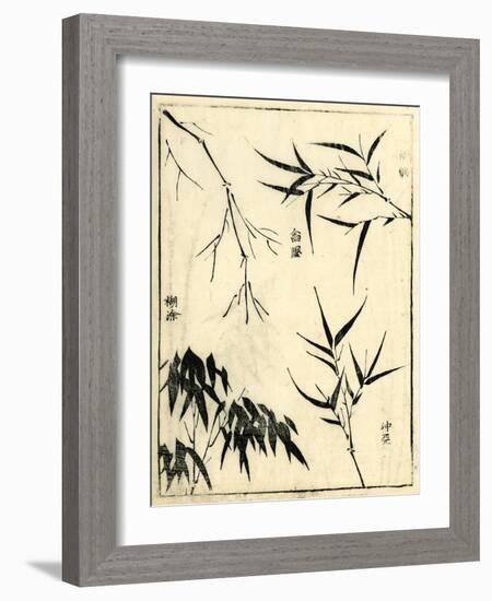 Bamboo Woodblock I-Vision Studio-Framed Art Print