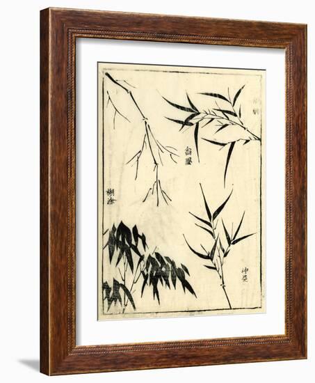 Bamboo Woodblock I-Vision Studio-Framed Art Print