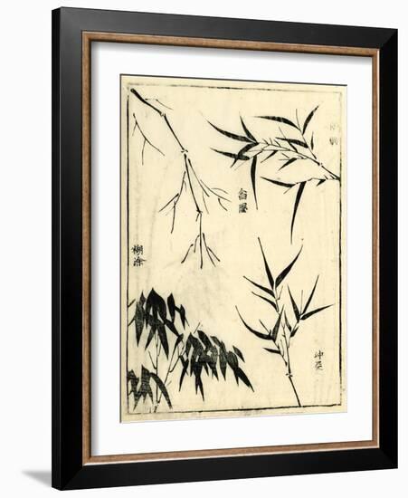 Bamboo Woodblock I-Vision Studio-Framed Art Print