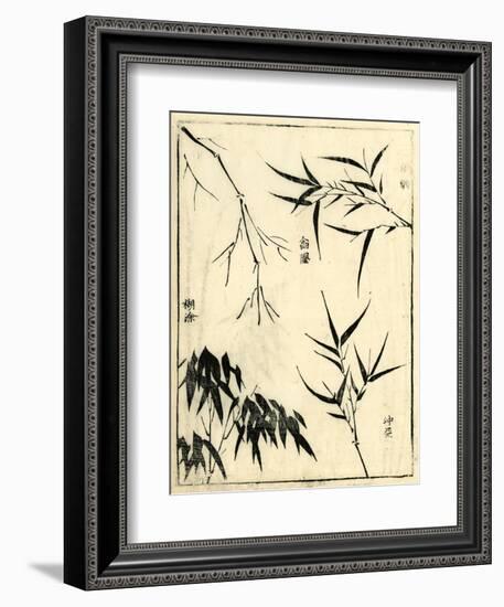 Bamboo Woodblock I-Vision Studio-Framed Art Print