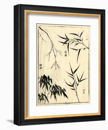 Bamboo Woodblock I-Vision Studio-Framed Art Print