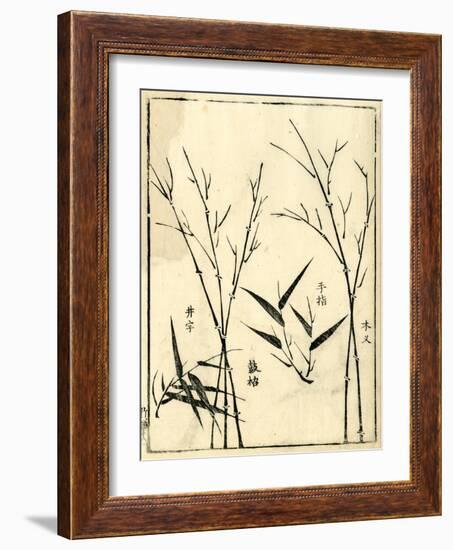 Bamboo Woodblock II-Vision Studio-Framed Art Print