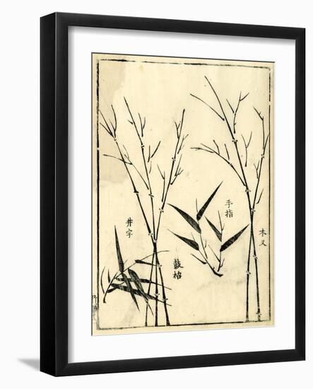 Bamboo Woodblock II-Vision Studio-Framed Art Print