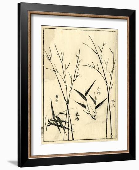 Bamboo Woodblock II-Vision Studio-Framed Art Print