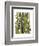 Bamboo Zebra-Fab Funky-Framed Art Print