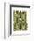 Bamboo Zebra-Fab Funky-Framed Art Print