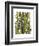 Bamboo Zebra-Fab Funky-Framed Art Print