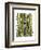 Bamboo Zebra-Fab Funky-Framed Art Print