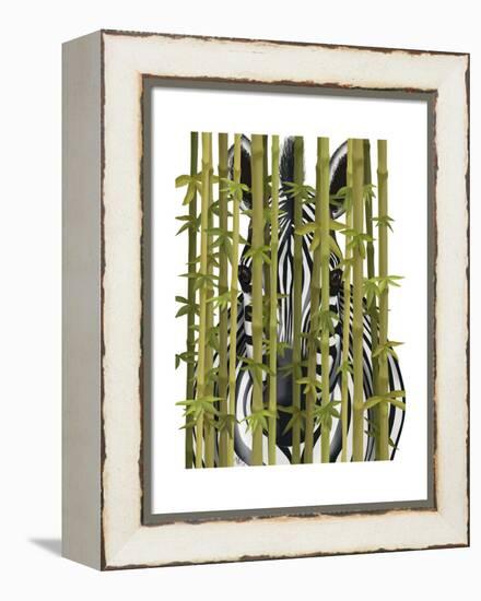 Bamboo Zebra-Fab Funky-Framed Stretched Canvas