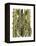 Bamboo Zebra-Fab Funky-Framed Stretched Canvas