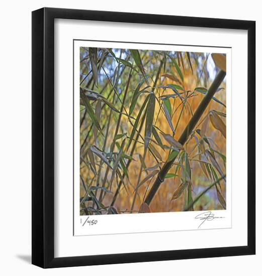 Bamboo-Ken Bremer-Framed Limited Edition