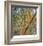 Bamboo-Ken Bremer-Framed Limited Edition