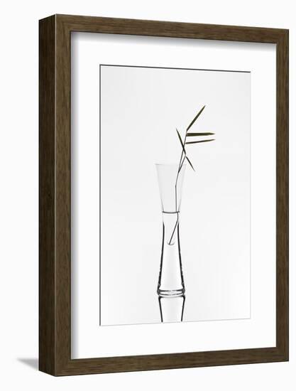 Bamboo-Christian Pabst-Framed Photographic Print