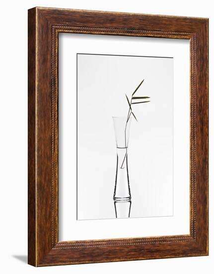 Bamboo-Christian Pabst-Framed Photographic Print