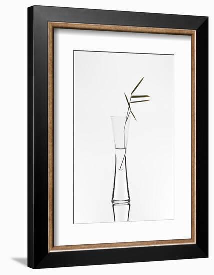 Bamboo-Christian Pabst-Framed Photographic Print