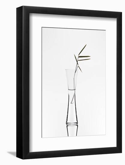 Bamboo-Christian Pabst-Framed Photographic Print