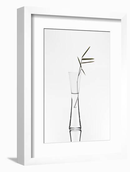 Bamboo-Christian Pabst-Framed Photographic Print