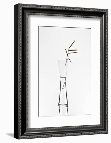 Bamboo-Christian Pabst-Framed Photographic Print