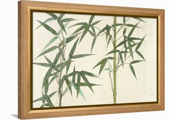 Bamboo-null-Framed Premier Image Canvas