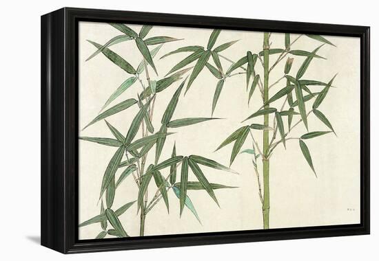 Bamboo-null-Framed Premier Image Canvas