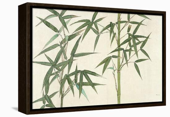 Bamboo-null-Framed Premier Image Canvas