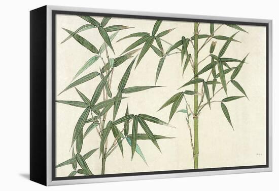 Bamboo-null-Framed Premier Image Canvas