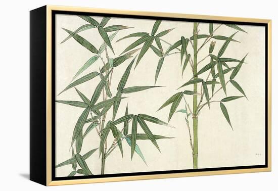 Bamboo-null-Framed Premier Image Canvas