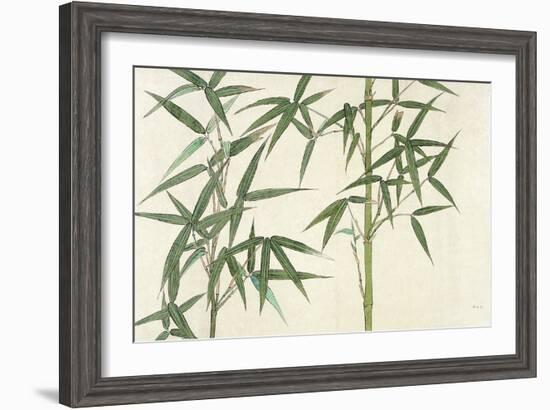 Bamboo--Framed Giclee Print