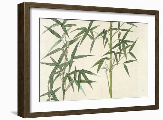 Bamboo-null-Framed Giclee Print