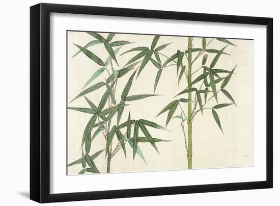 Bamboo--Framed Giclee Print