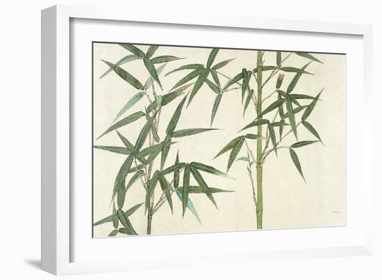 Bamboo--Framed Giclee Print