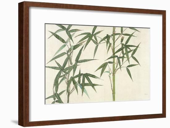 Bamboo-null-Framed Giclee Print