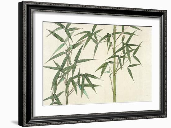 Bamboo-null-Framed Giclee Print