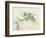 Bamboo-null-Framed Giclee Print