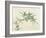 Bamboo-null-Framed Giclee Print