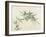 Bamboo-null-Framed Giclee Print