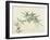 Bamboo-null-Framed Giclee Print