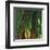 Bamboos, Costa Rica-Cindy Miller Hopkins-Framed Art Print