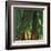 Bamboos, Costa Rica-Cindy Miller Hopkins-Framed Art Print