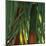 Bamboos, Costa Rica-Cindy Miller Hopkins-Mounted Art Print