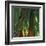 Bamboos, Costa Rica-Cindy Miller Hopkins-Framed Art Print