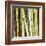 Bamboos Forest, Sagano, Kyoto, Japan-Rob Tilley-Framed Art Print