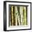 Bamboos Forest, Sagano, Kyoto, Japan-Rob Tilley-Framed Art Print