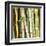 Bamboos Forest, Sagano, Kyoto, Japan-Rob Tilley-Framed Art Print