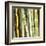 Bamboos Forest, Sagano, Kyoto, Japan-Rob Tilley-Framed Art Print