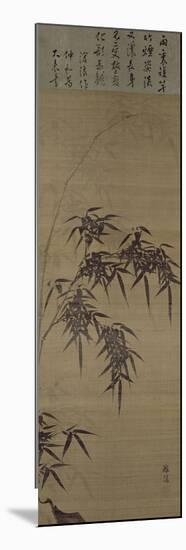 "Bambou sous la pluie"-Chong Yi-Mounted Giclee Print