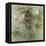 Bambu I-Mei-Framed Stretched Canvas