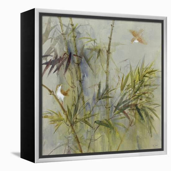 Bambu II-Mei-Framed Stretched Canvas