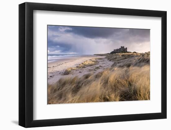 Bamburgh Castle and sand dunes, Northumberland, UK-Ross Hoddinott-Framed Photographic Print