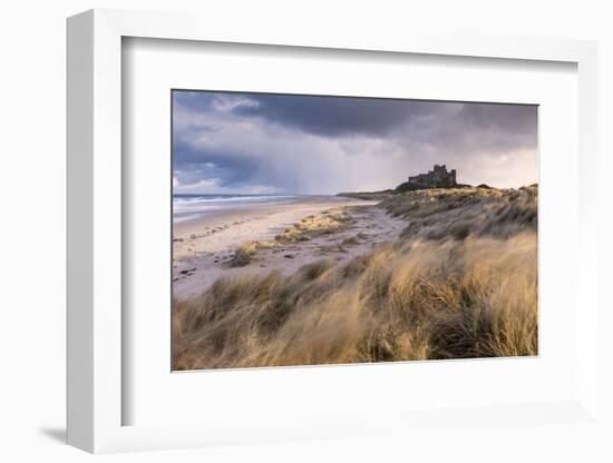 Bamburgh Castle and sand dunes, Northumberland, UK-Ross Hoddinott-Framed Photographic Print